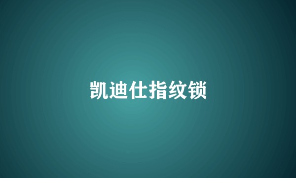 凯迪仕指纹锁
