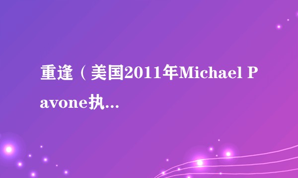 重逢（美国2011年Michael Pavone执导动作电影）