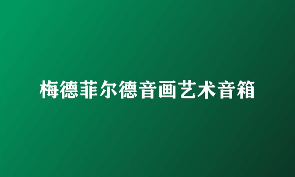 梅德菲尔德音画艺术音箱