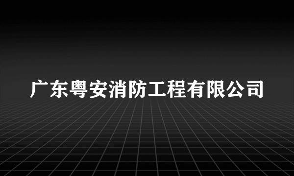 广东粤安消防工程有限公司