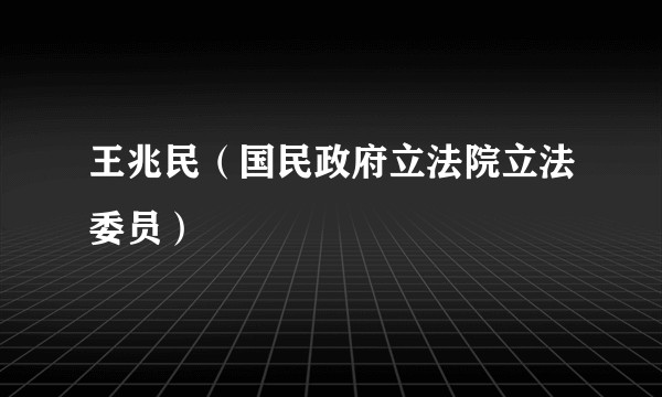 王兆民（国民政府立法院立法委员）