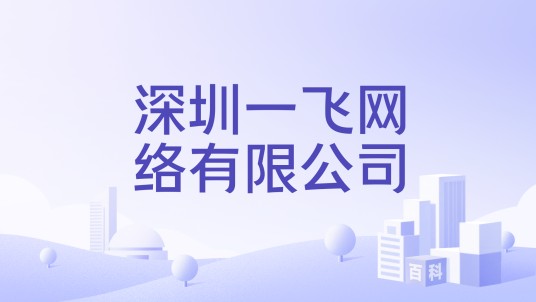 深圳一飞网络有限公司