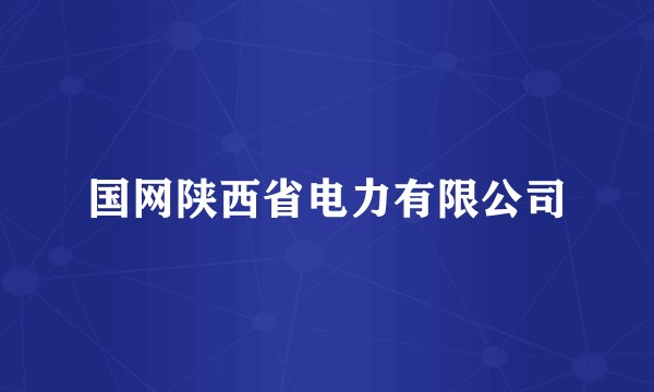 国网陕西省电力有限公司
