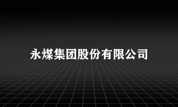 永煤集团股份有限公司