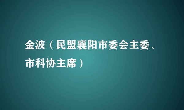 金波(民盟襄阳市委会主委、市科协主席)