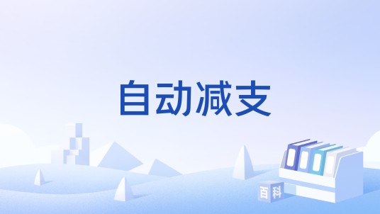 自动减支