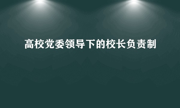 高校党委领导下的校长负责制