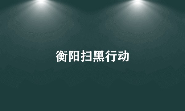 衡阳扫黑行动