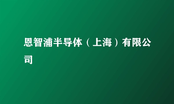 恩智浦半导体（上海）有限公司