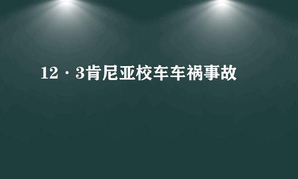 12·3肯尼亚校车车祸事故