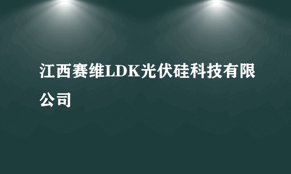江西赛维LDK光伏硅科技有限公司