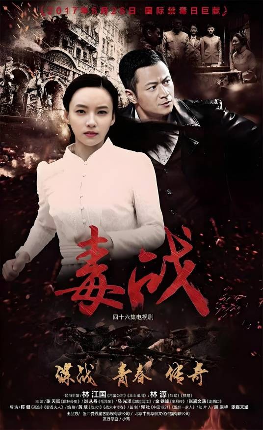 毒战（2016年陈健执导电视剧）