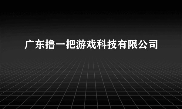 广东撸一把游戏科技有限公司