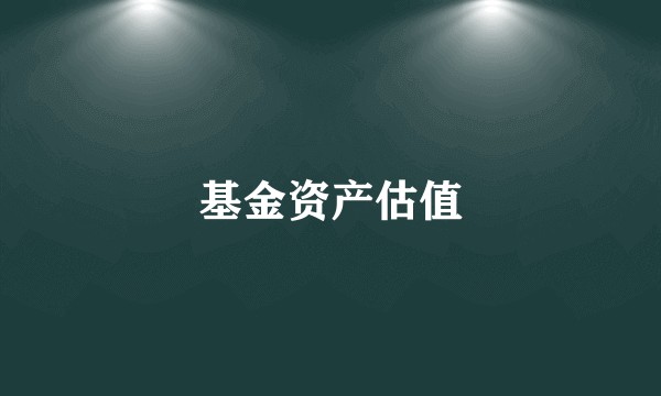 基金资产估值