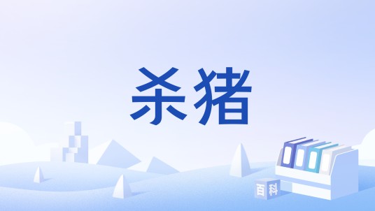杀猪(网络游戏《QQ自由幻想》恶魔广场活动的简称)