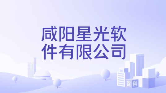 咸阳星光软件有限公司