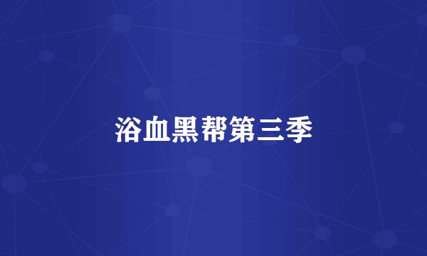 浴血黑帮第三季