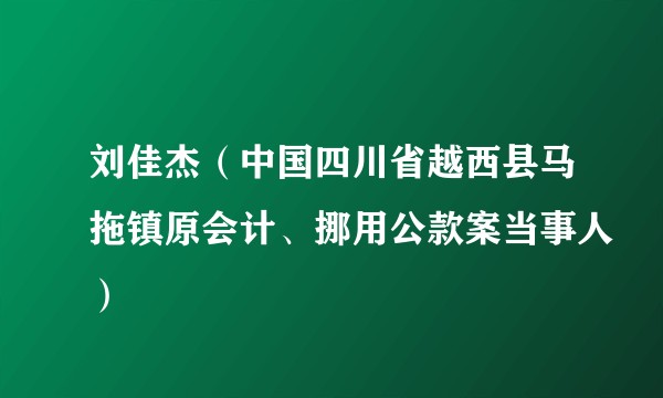 刘佳杰（中国四川省越西县马拖镇原会计、挪用公款案当事人）