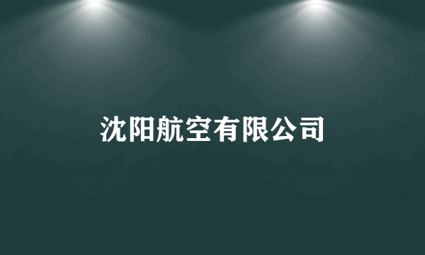 沈阳航空有限公司