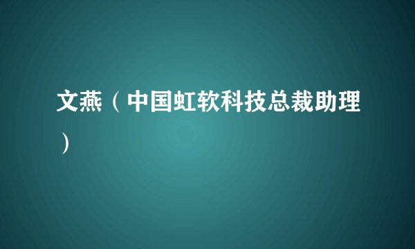 文燕（中国虹软科技总裁助理）