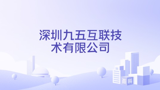 深圳九五互联技术有限公司