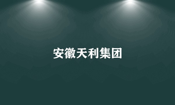 安徽天利集团