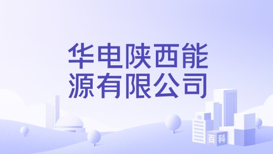 华电陕西能源有限公司