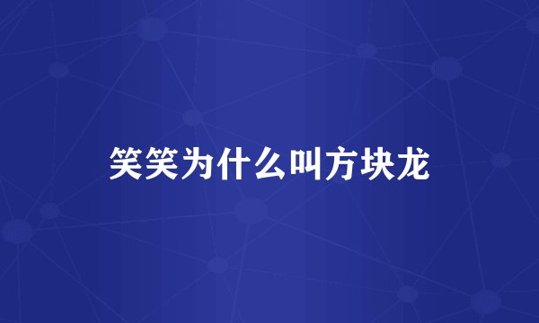 笑笑为什么叫方块龙