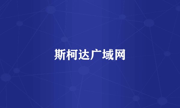 斯柯达广域网