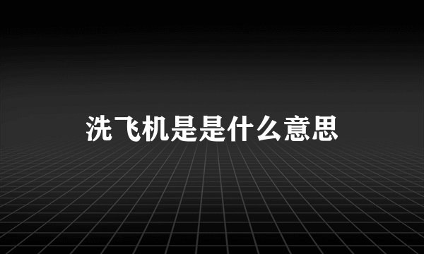 洗飞机是是什么意思