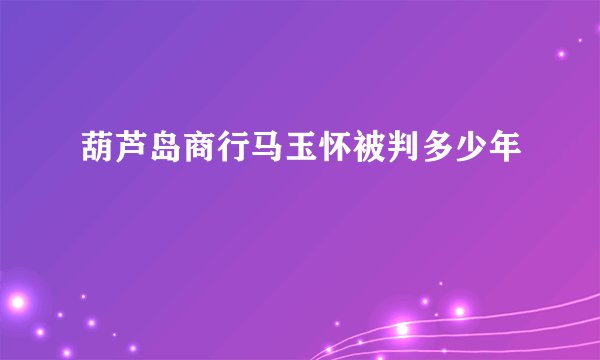 葫芦岛商行马玉怀被判多少年