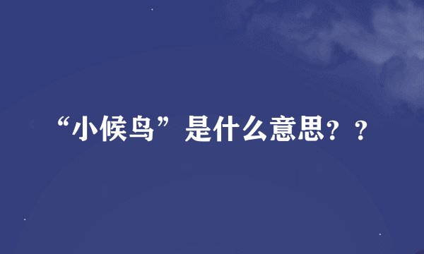 “小候鸟”是什么意思？？