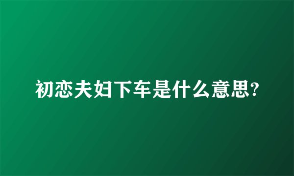 初恋夫妇下车是什么意思?