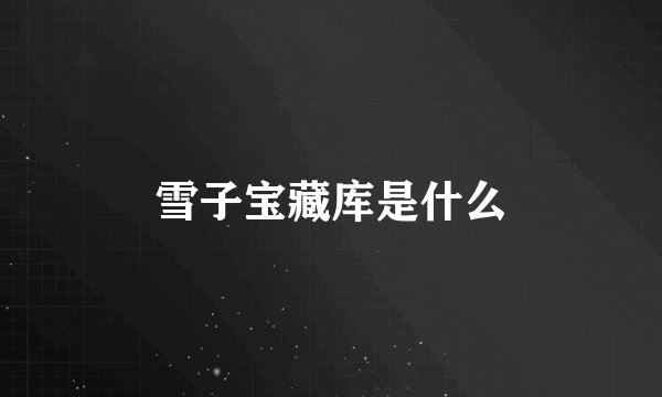 雪子宝藏库是什么