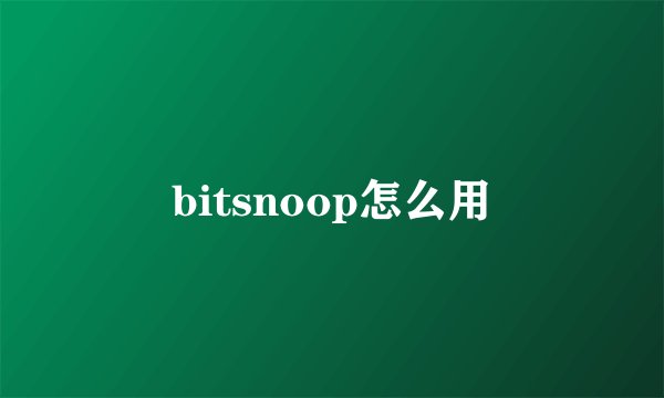 bitsnoop怎么用