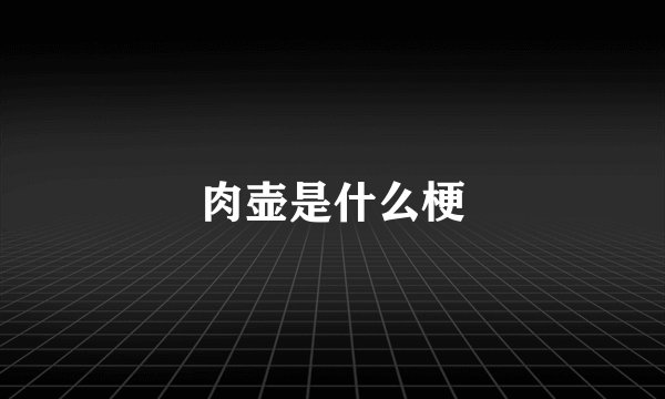 肉壶是什么梗