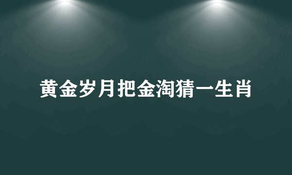 黄金岁月把金淘猜一生肖