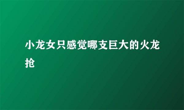 小龙女只感觉哪支巨大的火龙抢