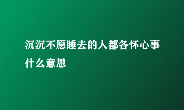 沉沉不愿睡去的人都各怀心事什么意思