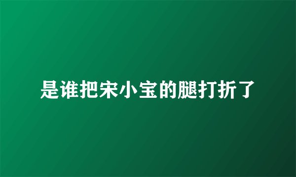 是谁把宋小宝的腿打折了