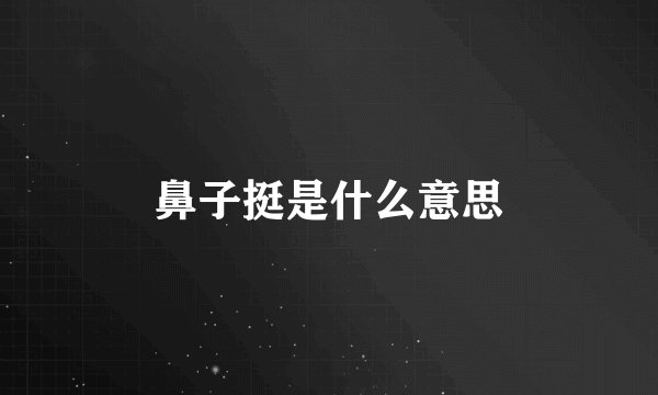 鼻子挺是什么意思