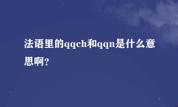 法语里的qqch和qqn是什么意思啊？