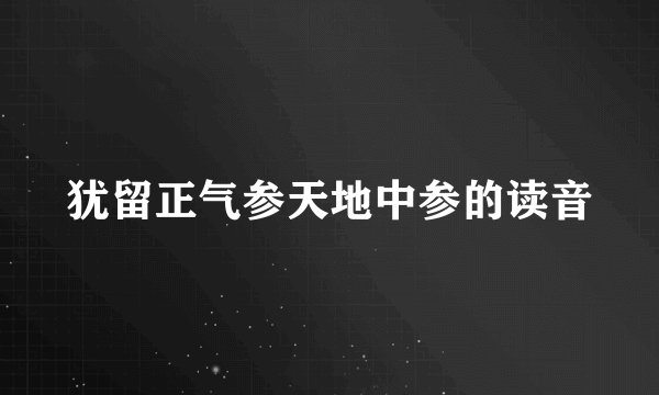 犹留正气参天地中参的读音