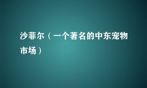 沙菲尔（一个著名的中东宠物市场）