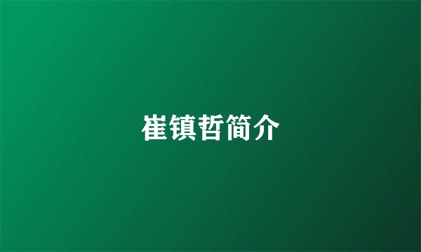 崔镇哲简介