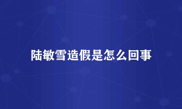 陆敏雪造假是怎么回事