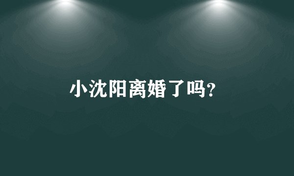 小沈阳离婚了吗？