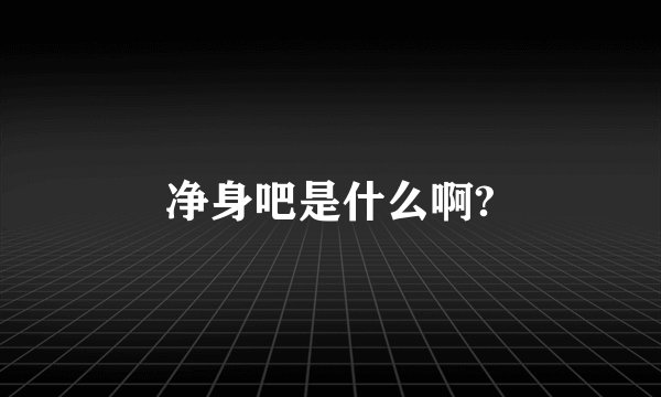 净身吧是什么啊?