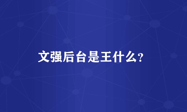 文强后台是王什么？