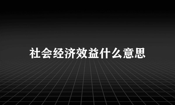 社会经济效益什么意思